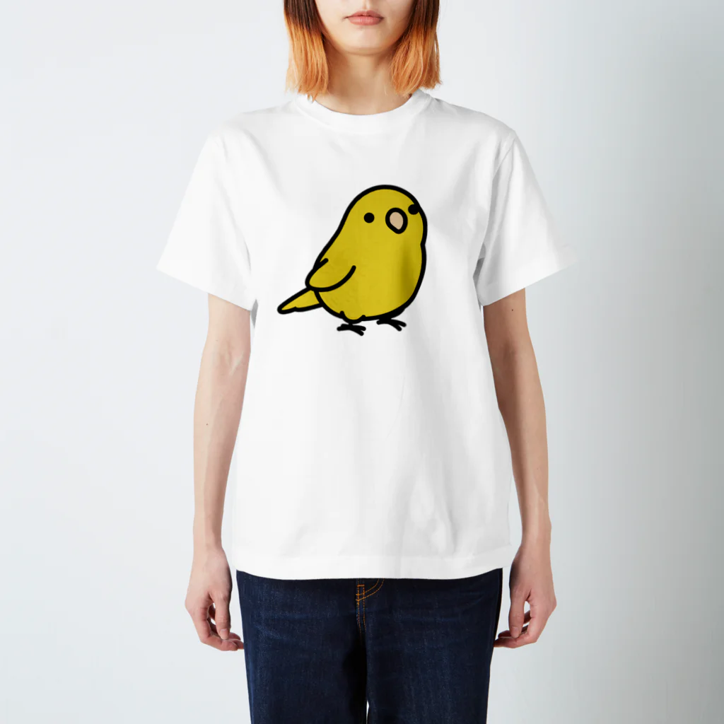 Cody the LovebirdのChubby Bird サザナミインコ Regular Fit T-Shirt