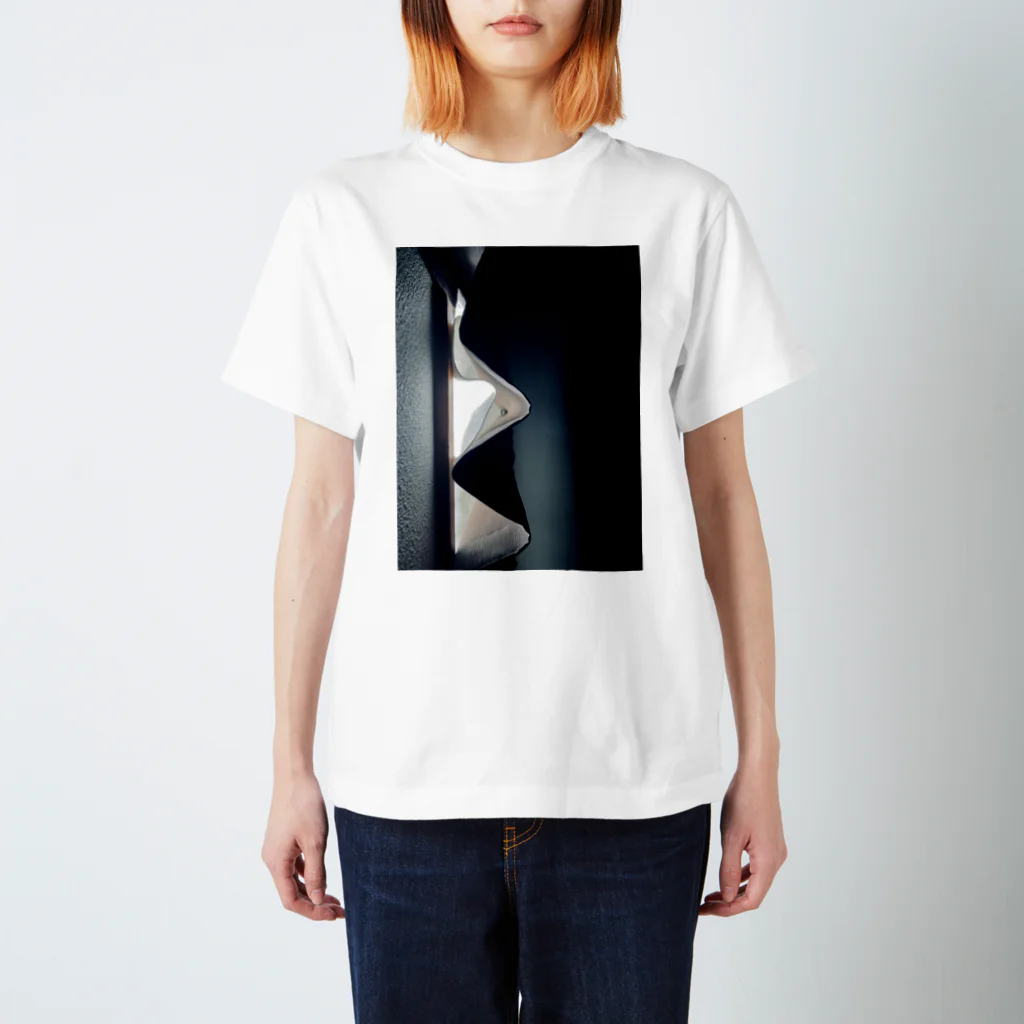 ぱしゃりのカーテン Regular Fit T-Shirt