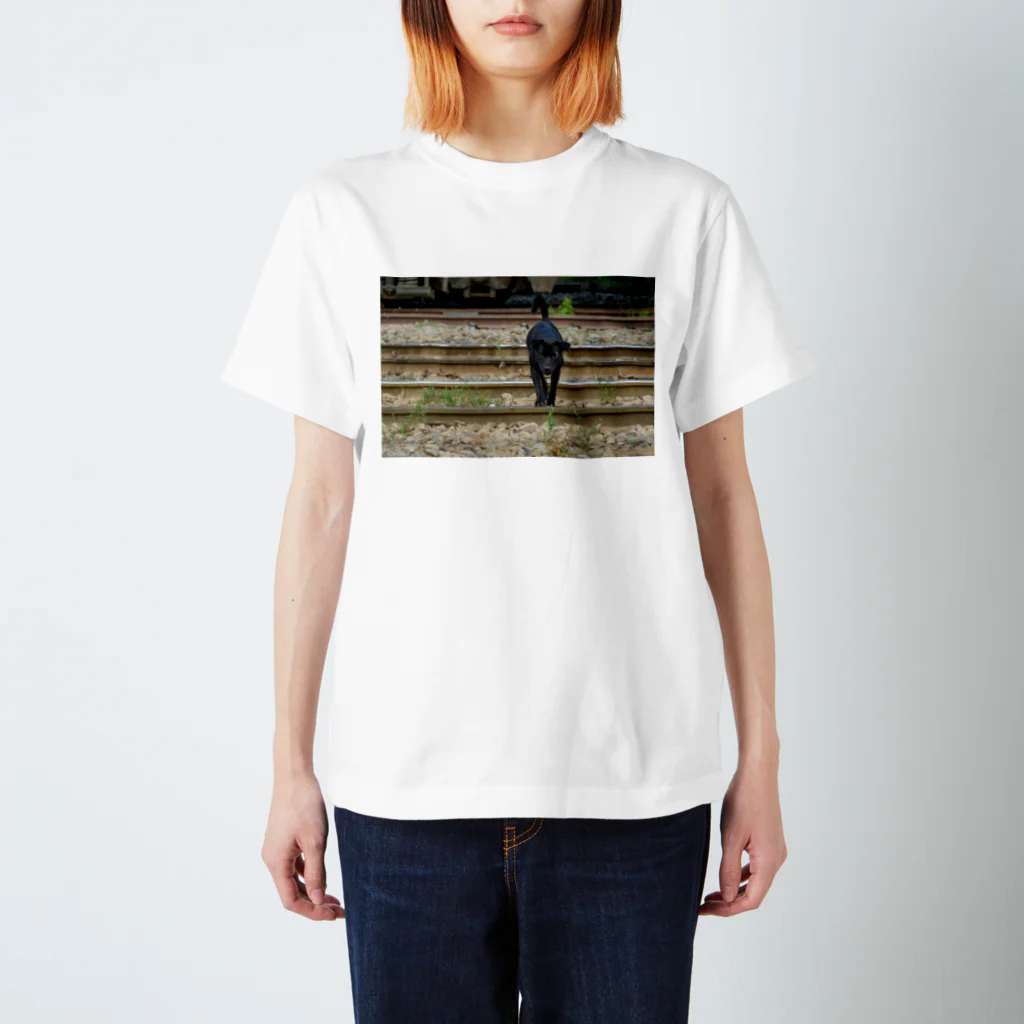 Second_Life_of_Railwaysのタイの鉄道旅行で出会った国鉄の線路がテリトリーの野良犬 スタンダードTシャツ