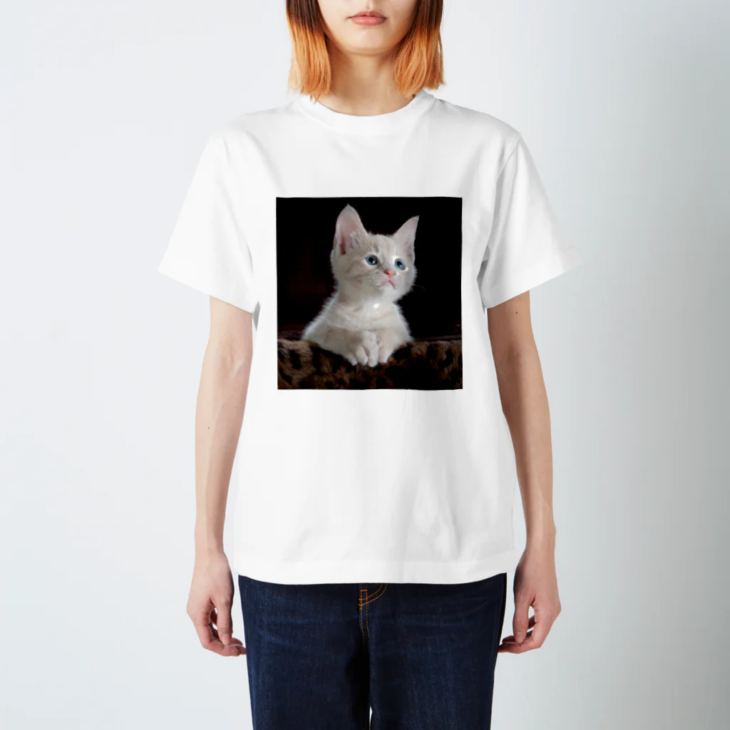 猫アートグッズのTy Swartz《A focused kitten》 スタンダードTシャツ