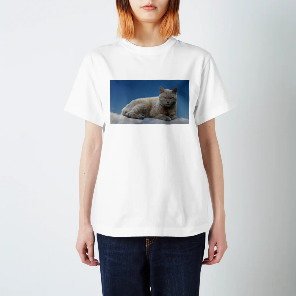 冬の底の猫と青空 Regular Fit T-Shirt