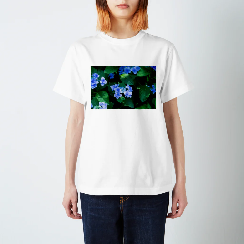 akane_art（茜音工房）の癒しの風景（アジサイ） Regular Fit T-Shirt