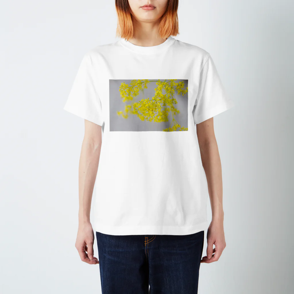 akane_art（茜音工房）の癒しの風景（オミナエシ） Regular Fit T-Shirt