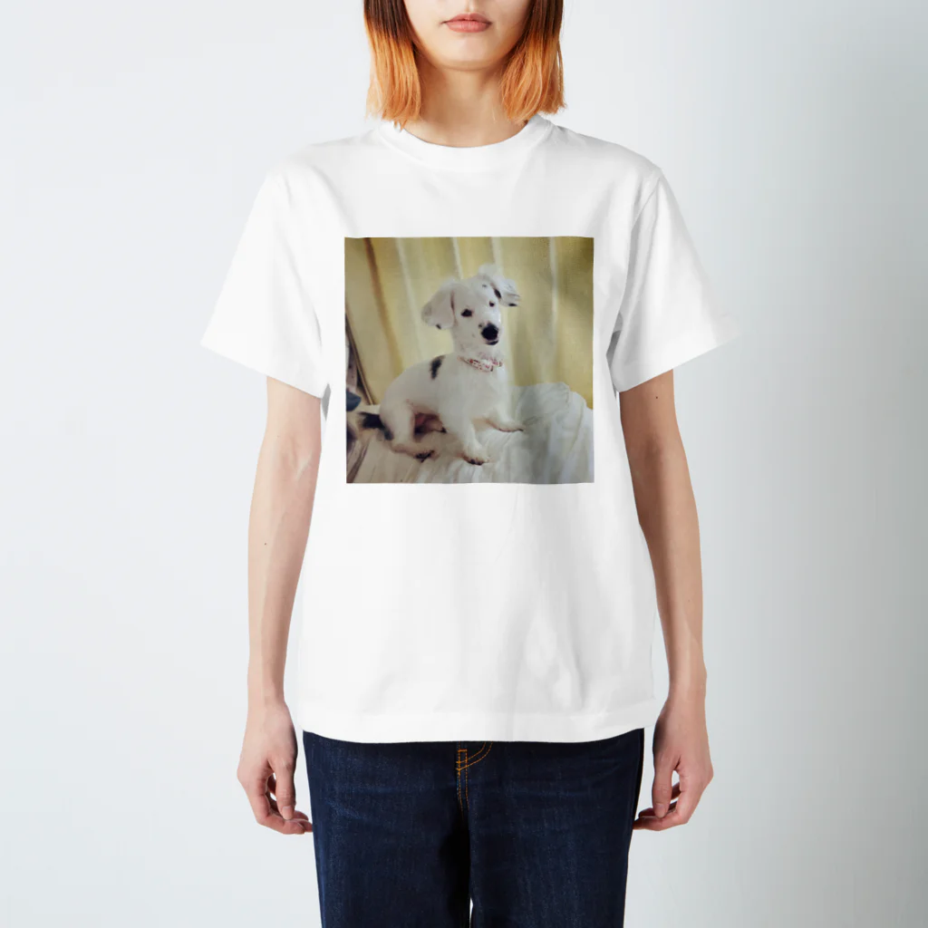 アトリエいぬSTOREのあどけない犬 Regular Fit T-Shirt