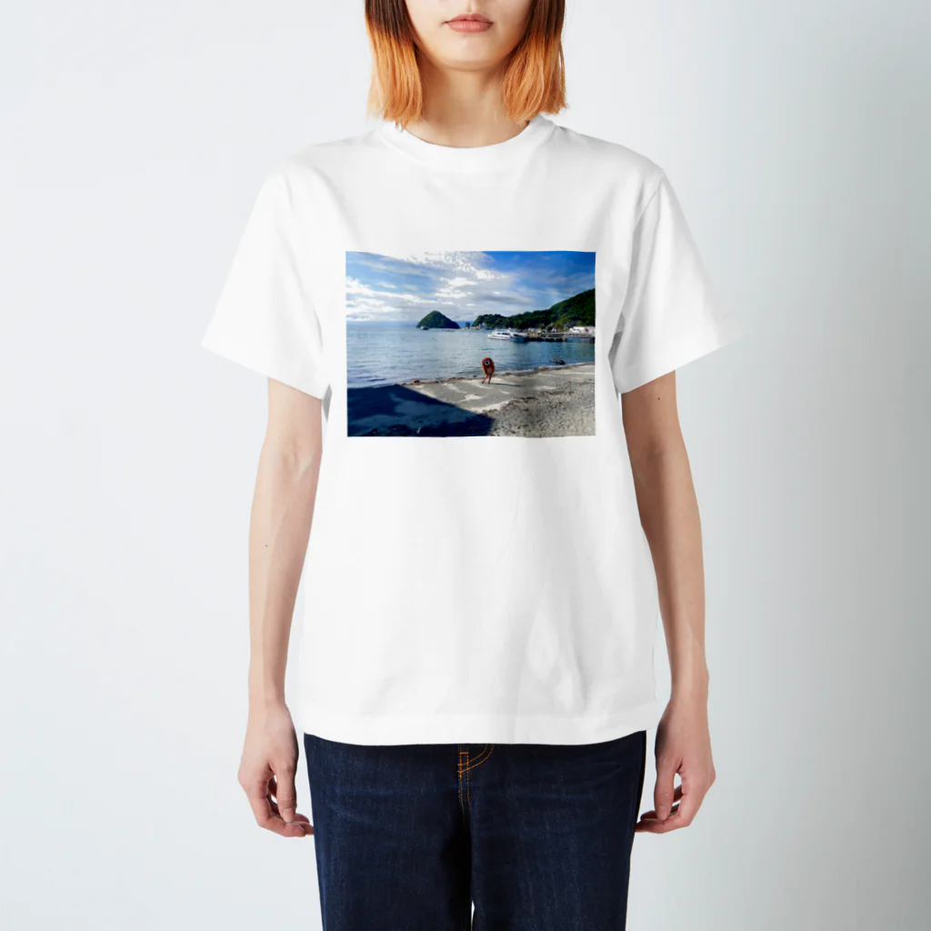 化けわらじ工房の海と化けわらじ Regular Fit T-Shirt