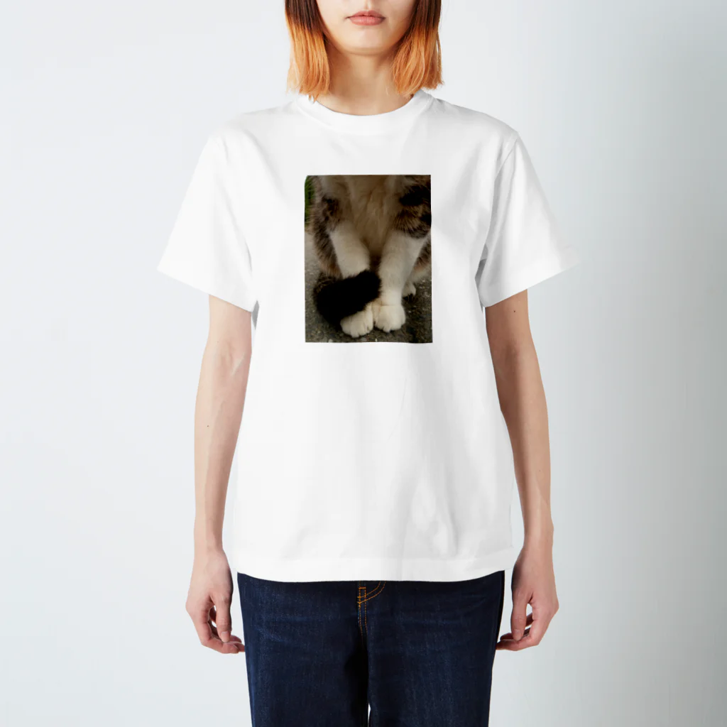 僕の撮る猫は可愛くないのNora スタンダードTシャツ