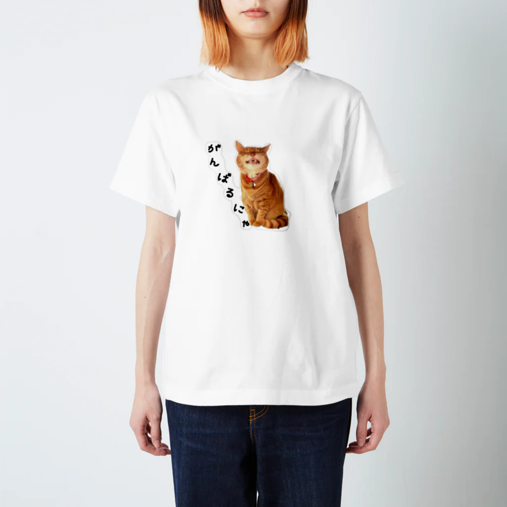 ぬこヌッコロ(猫谷櫂人)のがんばるにゃ応援ばあちゃん スタンダードTシャツ