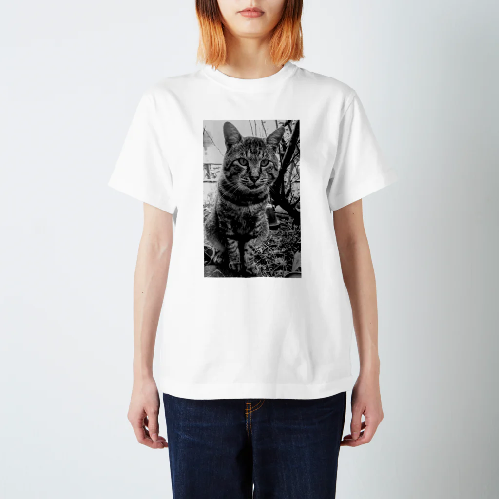 Bohcaの野生的な猫 スタンダードTシャツ