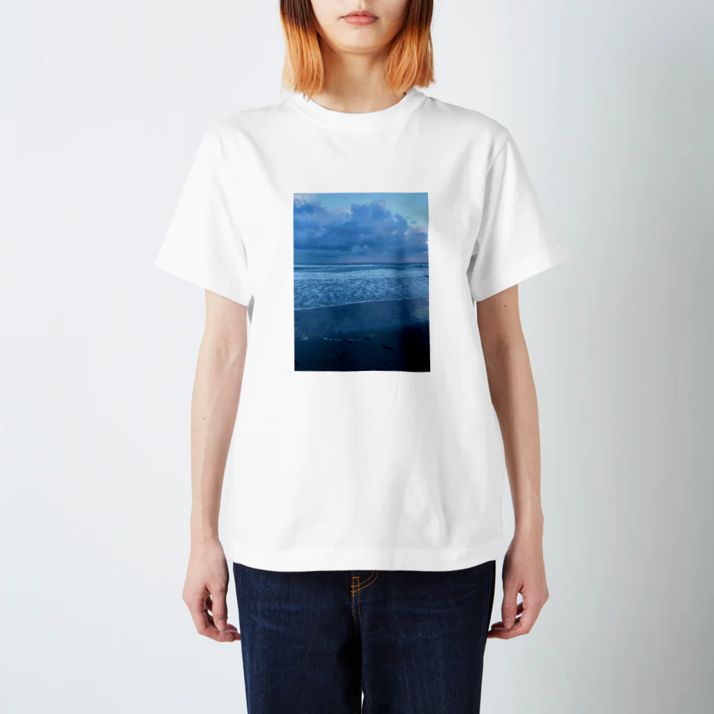 豊風本舗の夏の九十九里浜の浜辺　３ Regular Fit T-Shirt