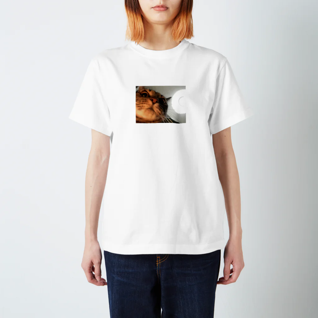 aaaaaの自撮り猫 スタンダードTシャツ