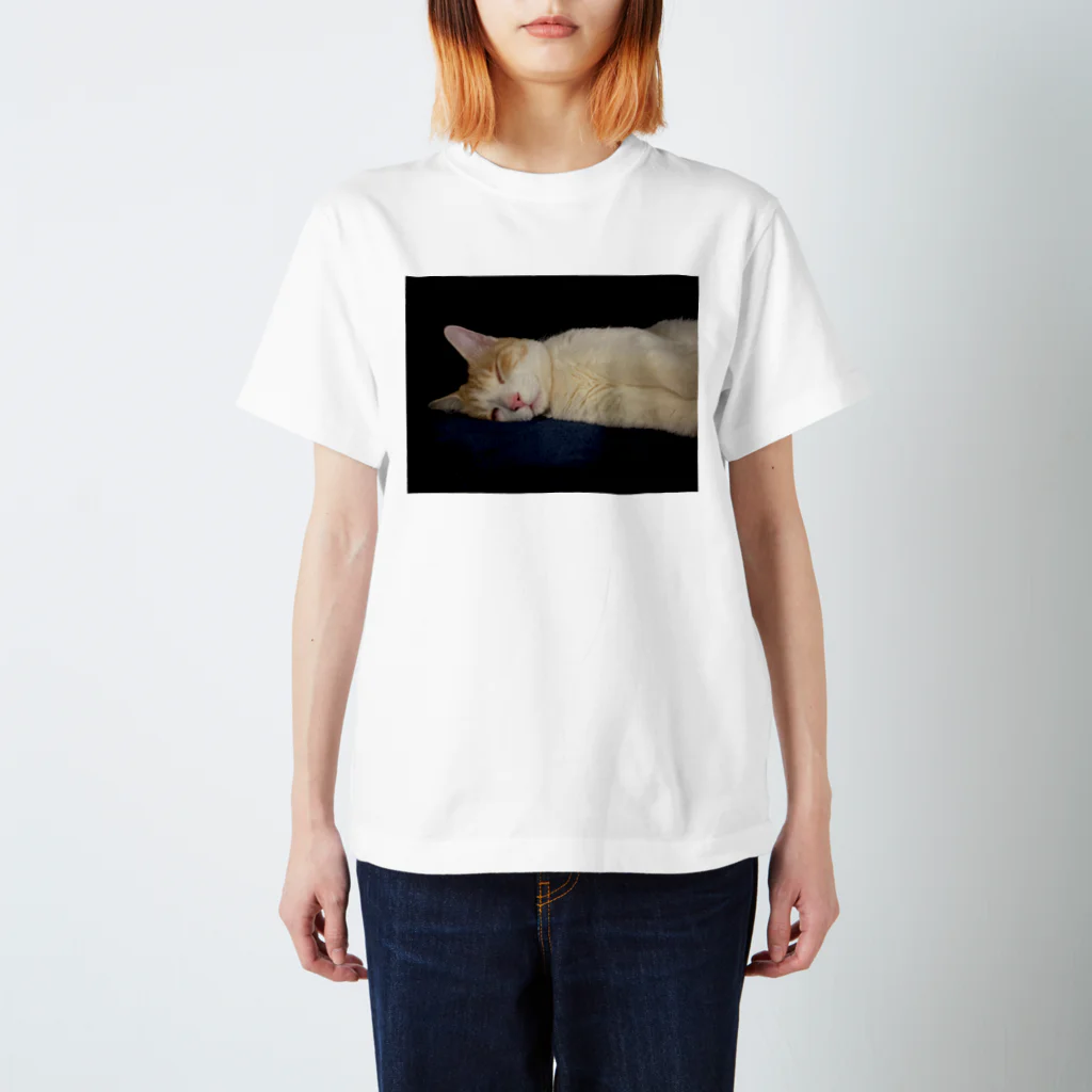 みつりんの夢の境地 Regular Fit T-Shirt