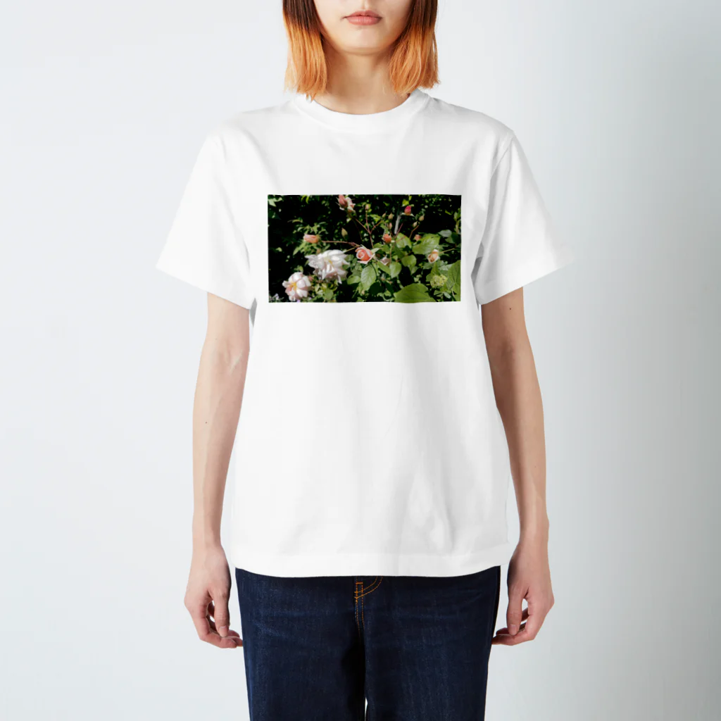 Moet_photoのRose#1 スタンダードTシャツ