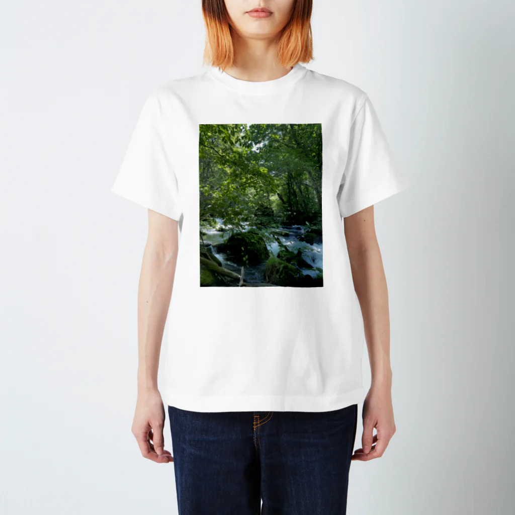 chan kumiの和柄　パワースポット滝 スタンダードTシャツ