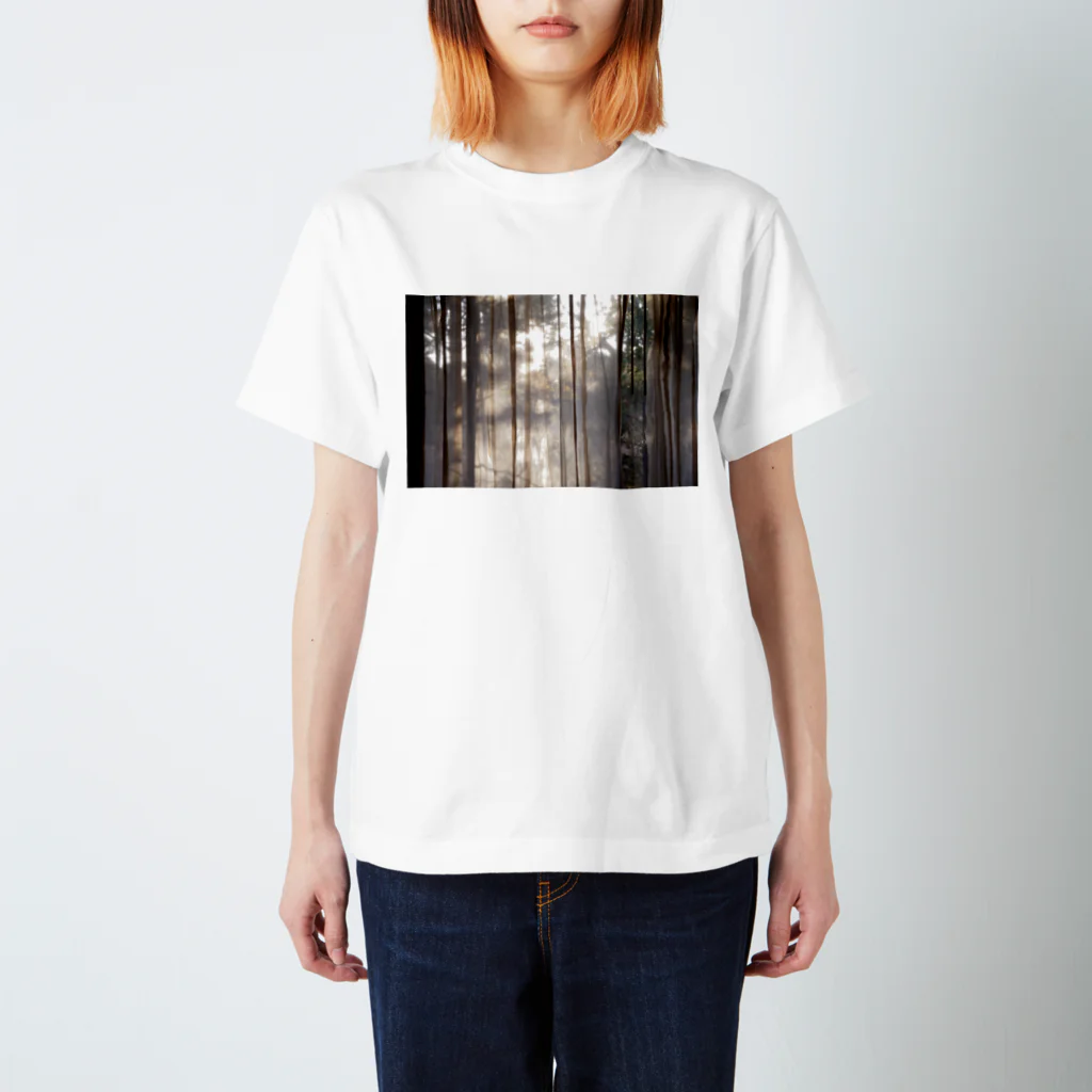 🐌🧂の窓の光 Regular Fit T-Shirt