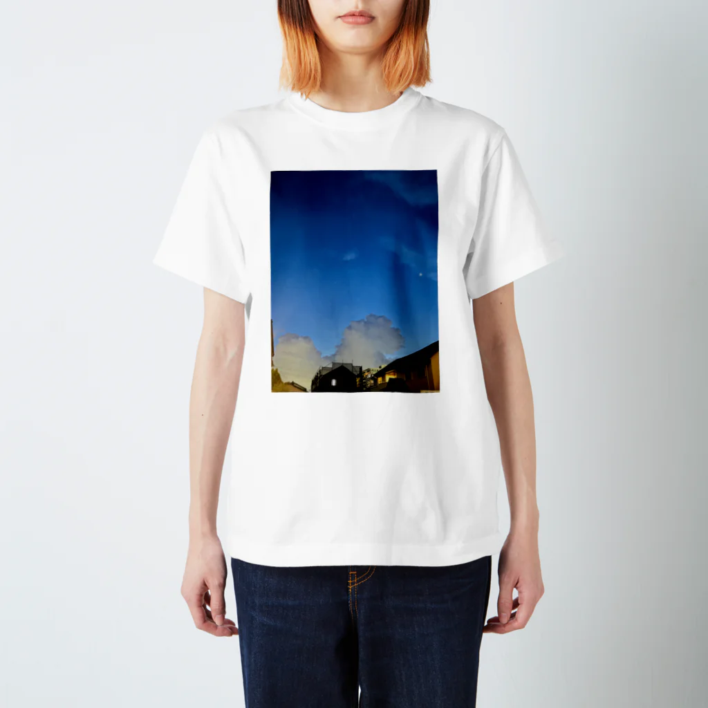 SHIMA-YUのテスト スタンダードTシャツ