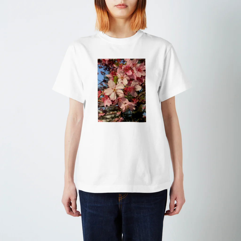 SHABBAT MOON のSakura Regular Fit T-Shirt