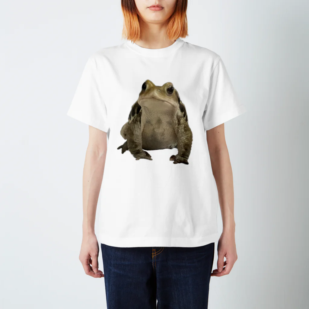 my sweetest toadのmy sweetest toad 2023 ver.A スタンダードTシャツ