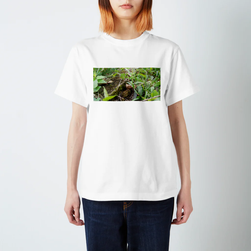 tizujonoboukenの自然豊か スタンダードTシャツ
