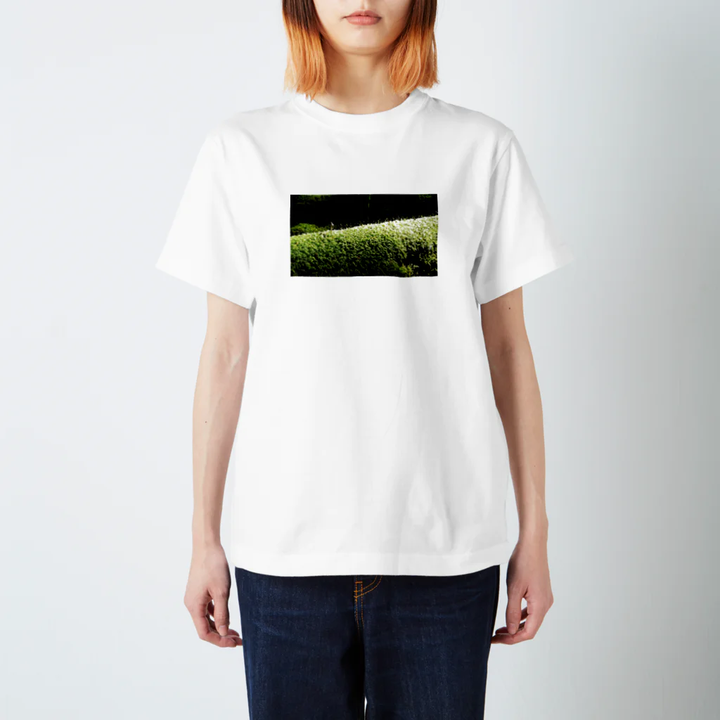 CHERRYの苔苔くん スタンダードTシャツ