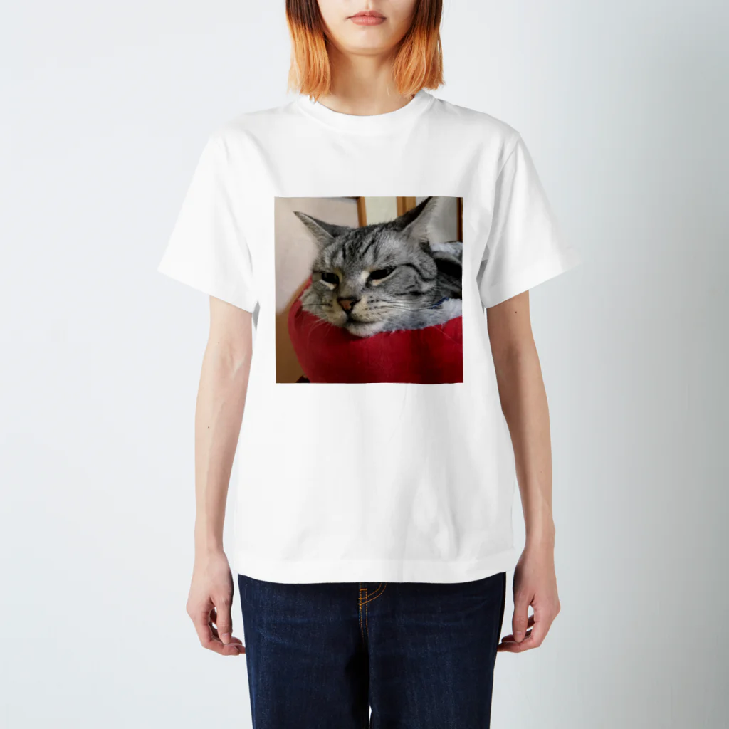 ねこノートのあごのせ寝 スタンダードTシャツ