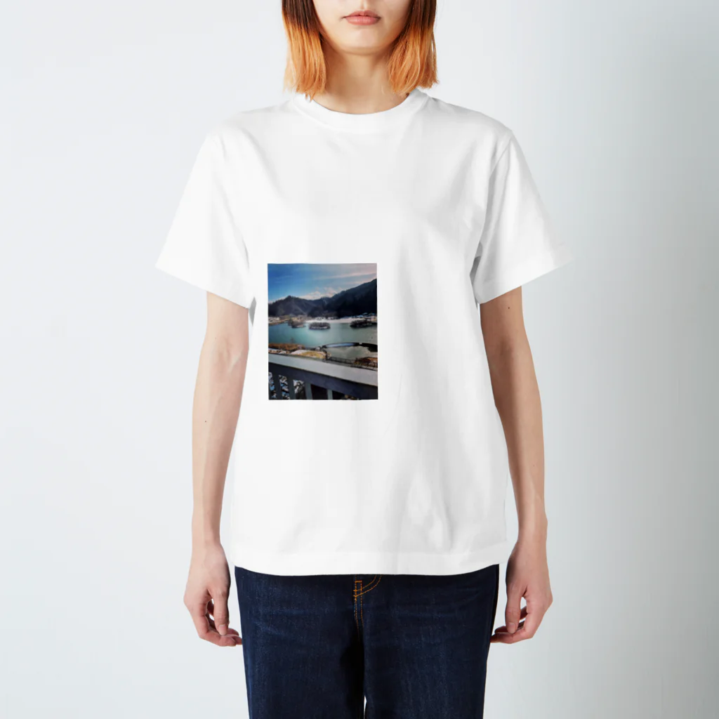 ネコカモプラネットの春の湖 Regular Fit T-Shirt