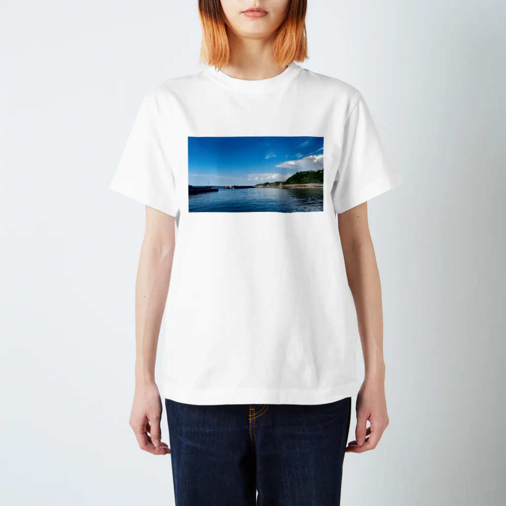 dandelionのどこかの海 Regular Fit T-Shirt