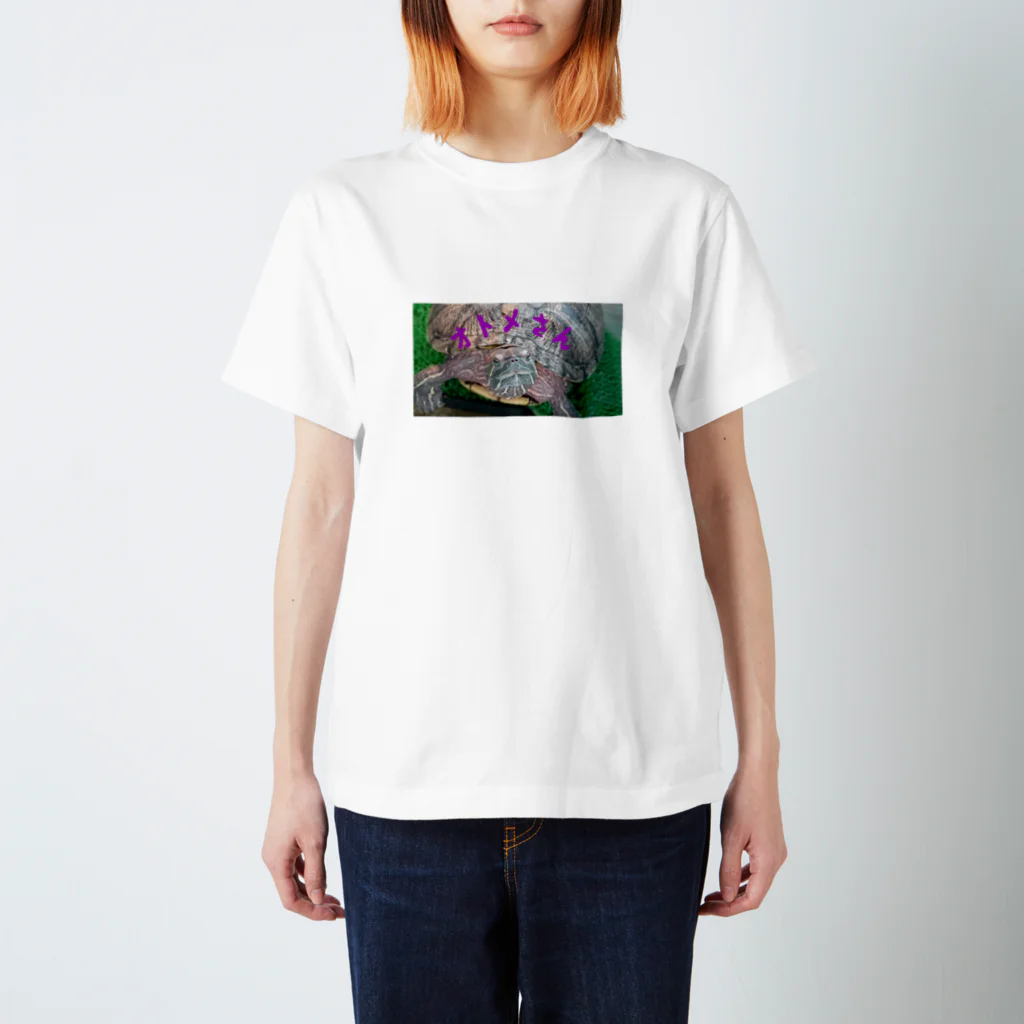 Akihiguのスマイルオトメさん Regular Fit T-Shirt