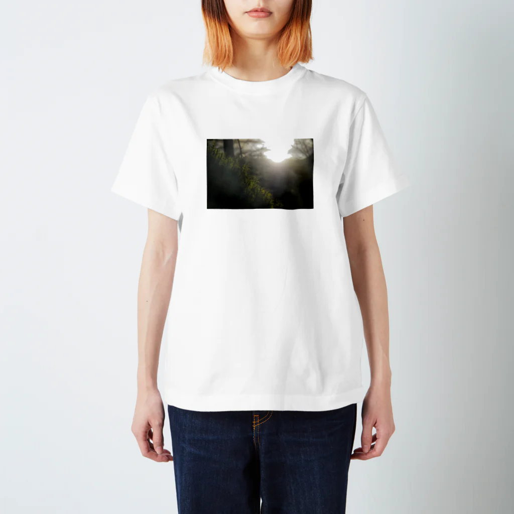 I miss you の森の朝 Regular Fit T-Shirt