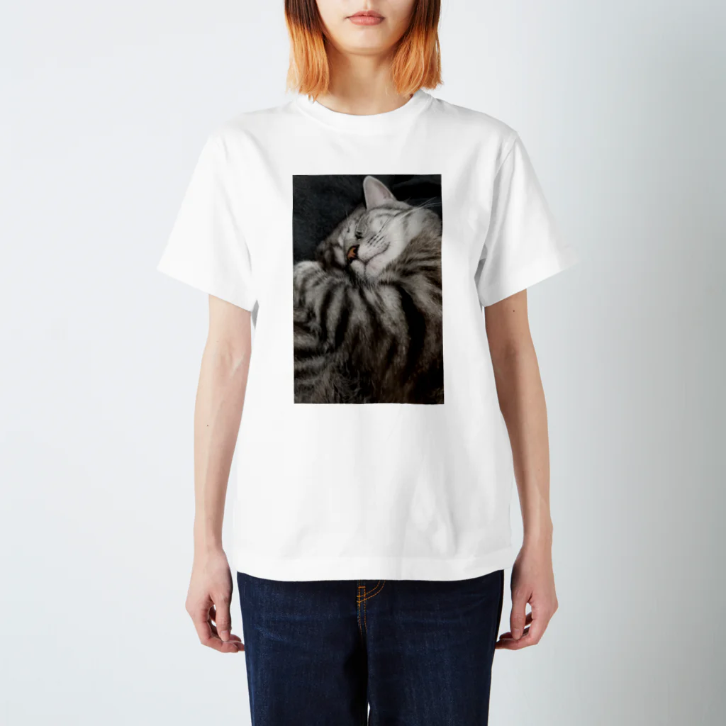 Grayのふてぶてしい猫です｡ スタンダードTシャツ