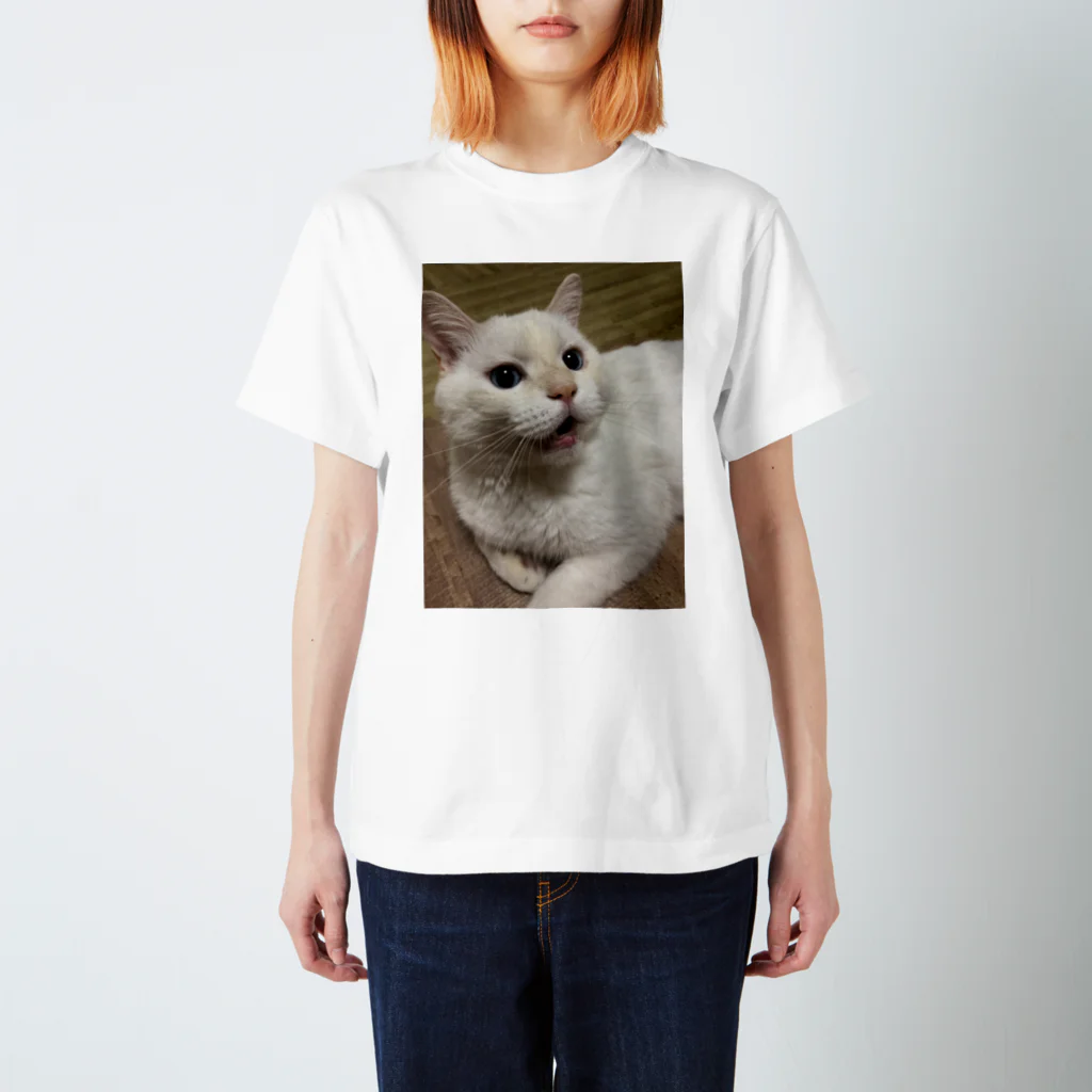 そらにも出来る保護猫支援のおうちにおいで勝手に応援団公式グッズ スタンダードTシャツ