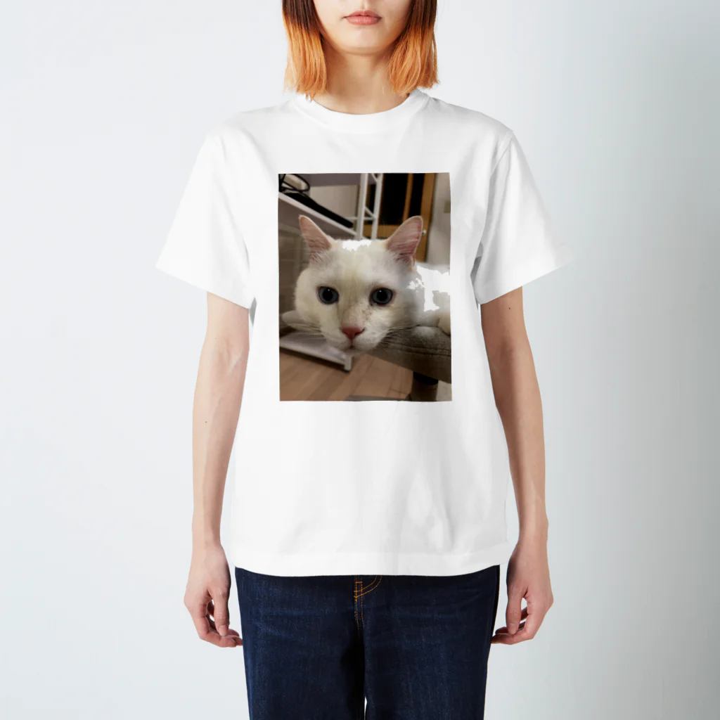 そらにも出来る保護猫支援のメイヨかいちょうそら スタンダードTシャツ