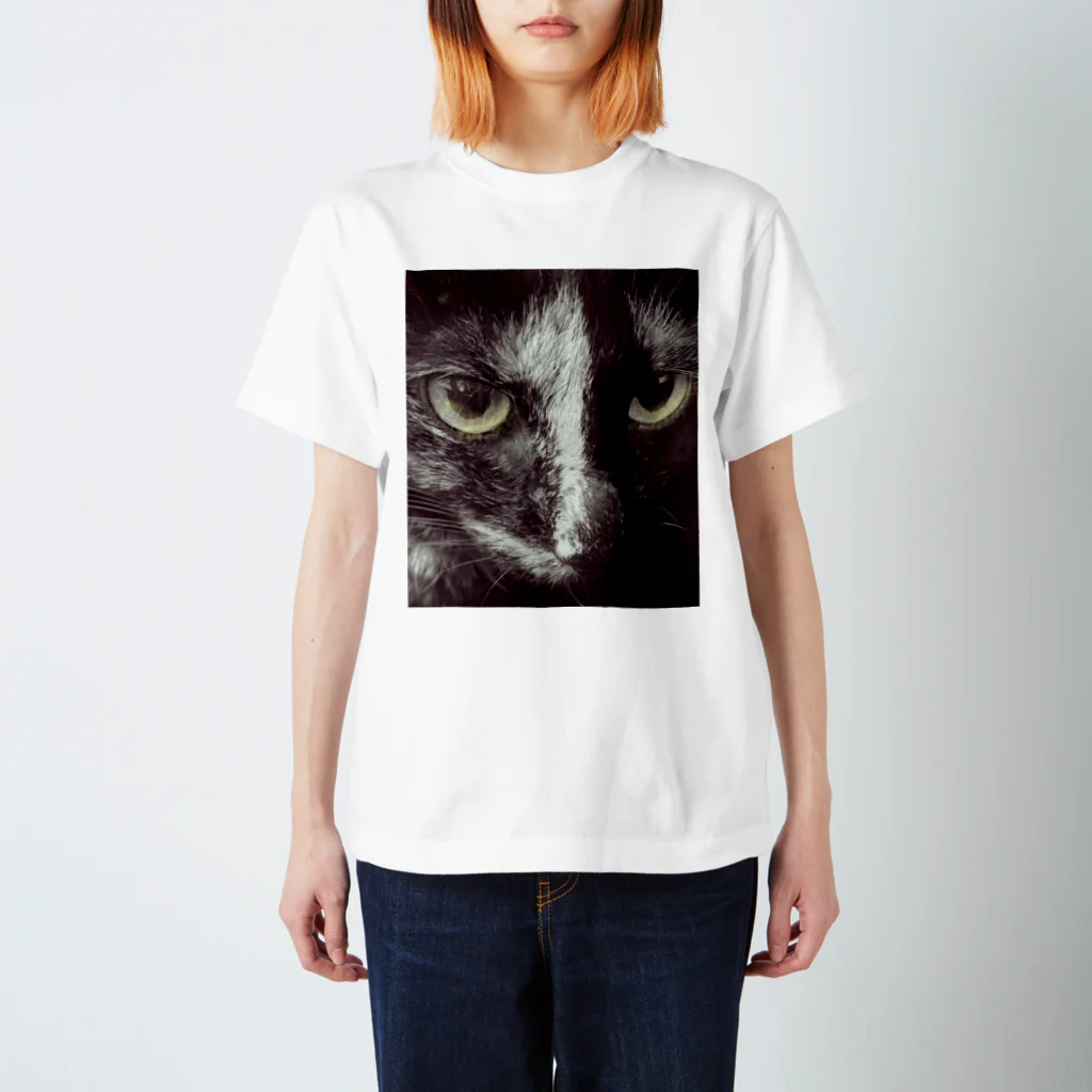 akitadaijinのサビ猫シータ Regular Fit T-Shirt