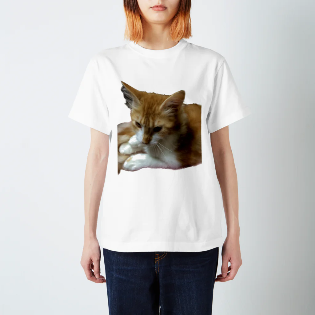 30002500の家に来たばかりのネコちゃん🐈 スタンダードTシャツ