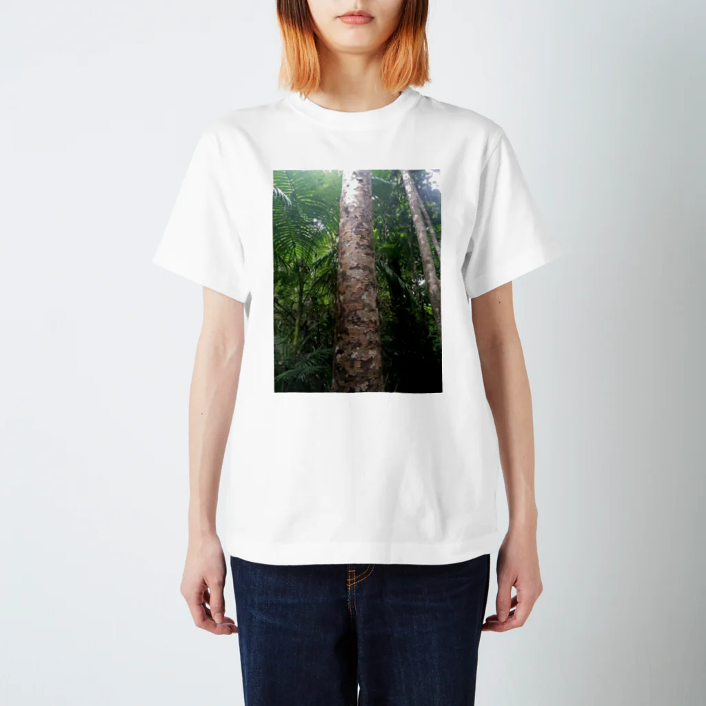 epic-studioのcamouflage Cairns スタンダードTシャツ