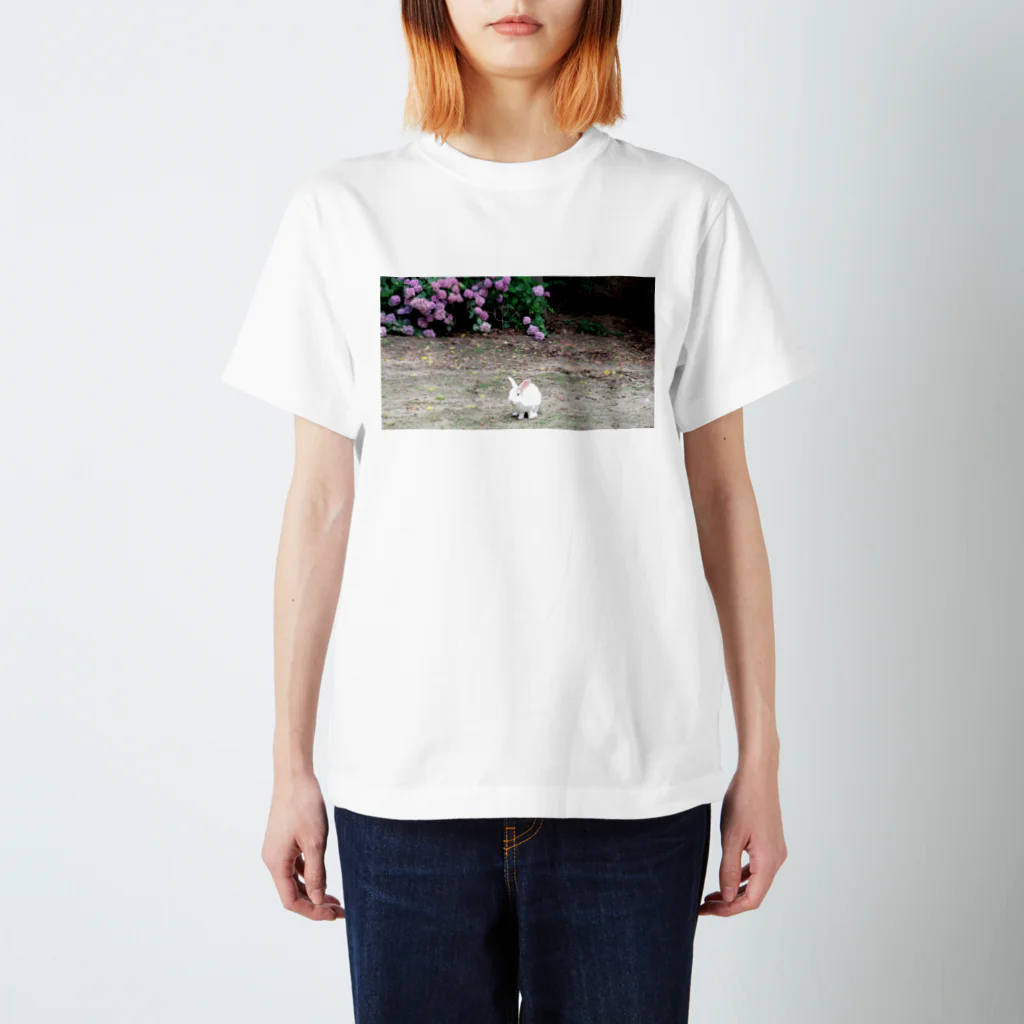 rabbit-islandの紫陽花と松坂慶次 スタンダードTシャツ