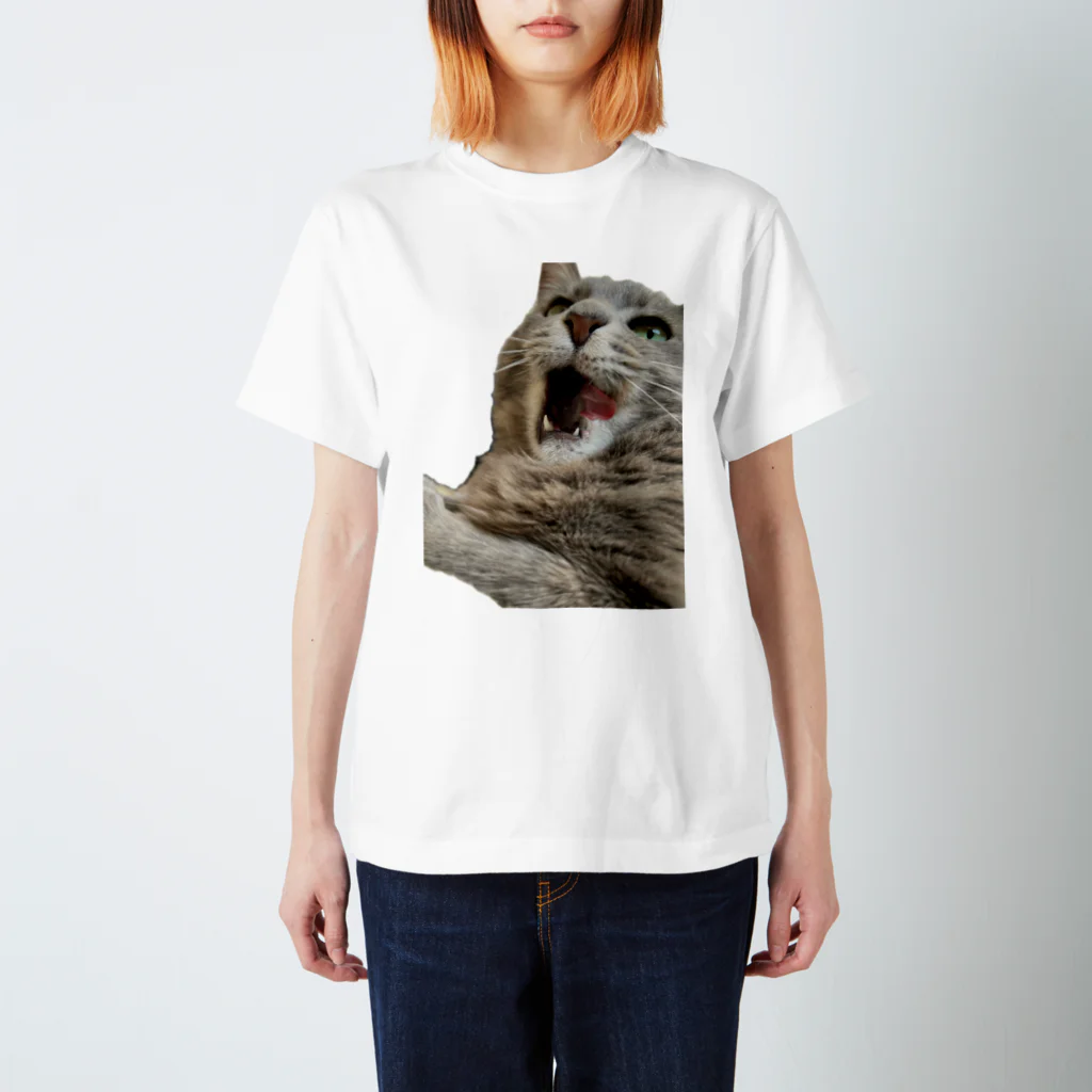 グレージュ猫ロッタン🐈‍⬛のあくびロッタン Regular Fit T-Shirt