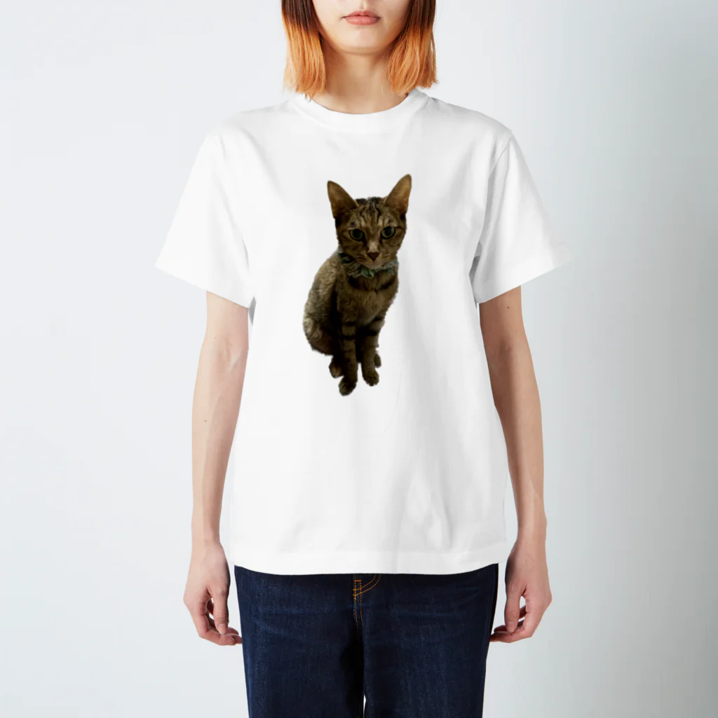 ジョリーマンダリンのI love kijitora cat. スタンダードTシャツ