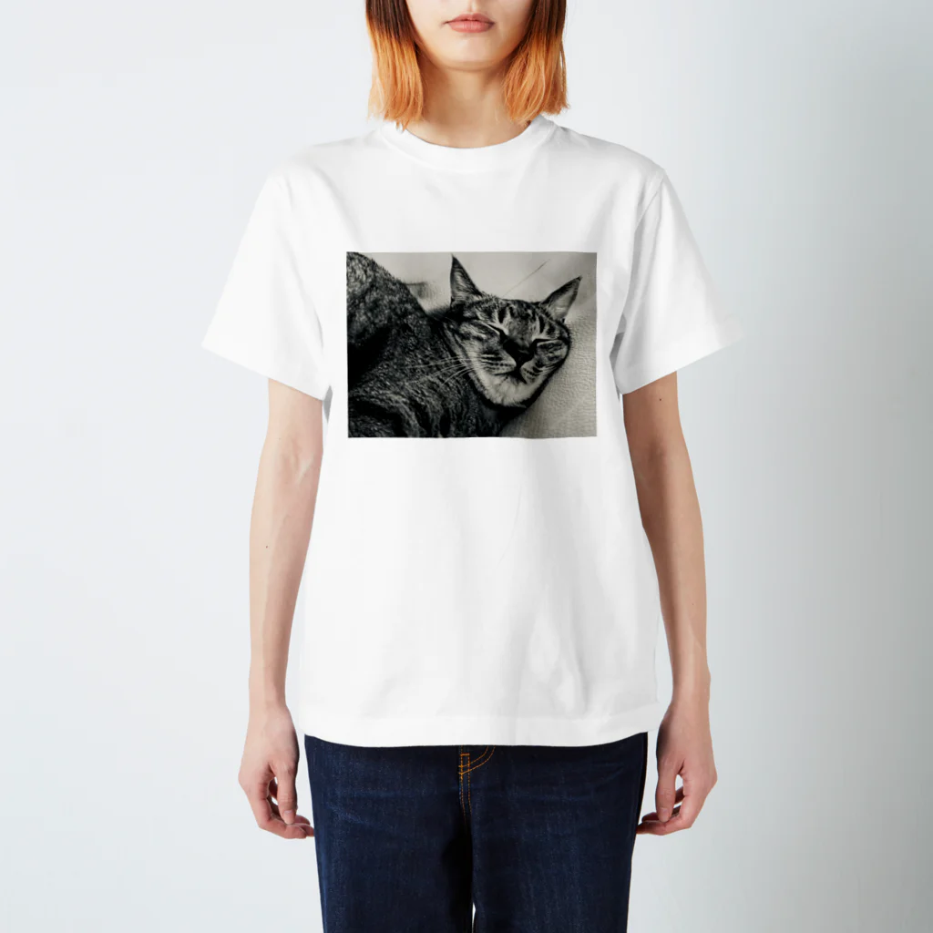 深夜の猫屋さんの深夜猫 Regular Fit T-Shirt