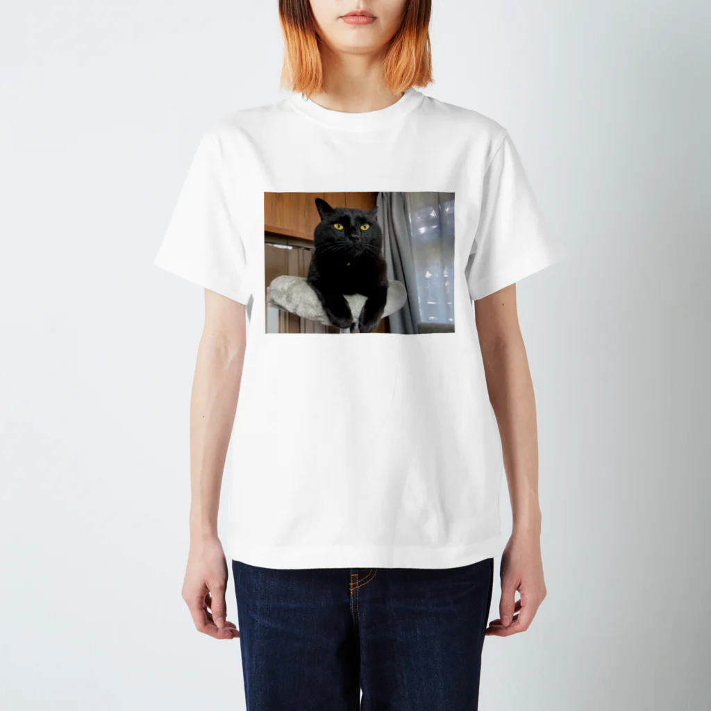 yottin59617の迷い黒猫キキ スタンダードTシャツ