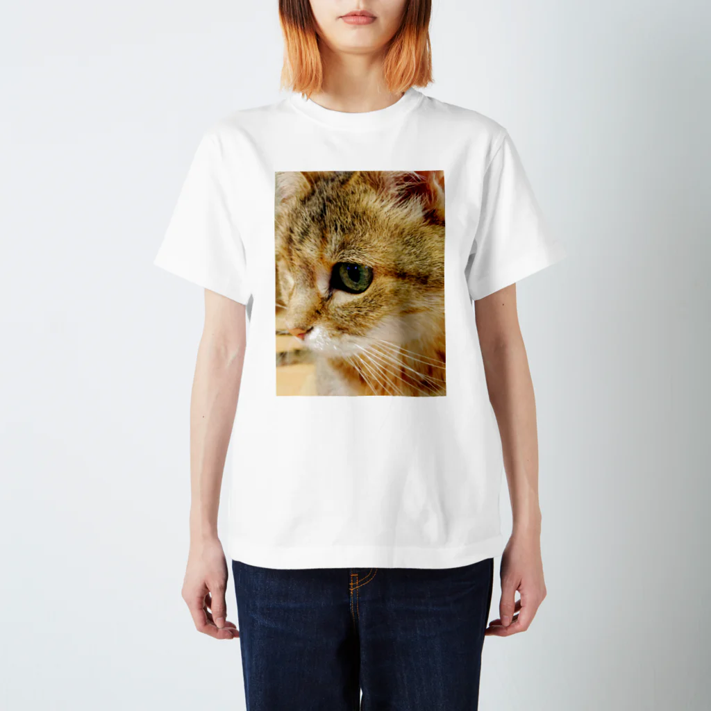 しりかげるonlineの愛猫ウラン スタンダードTシャツ