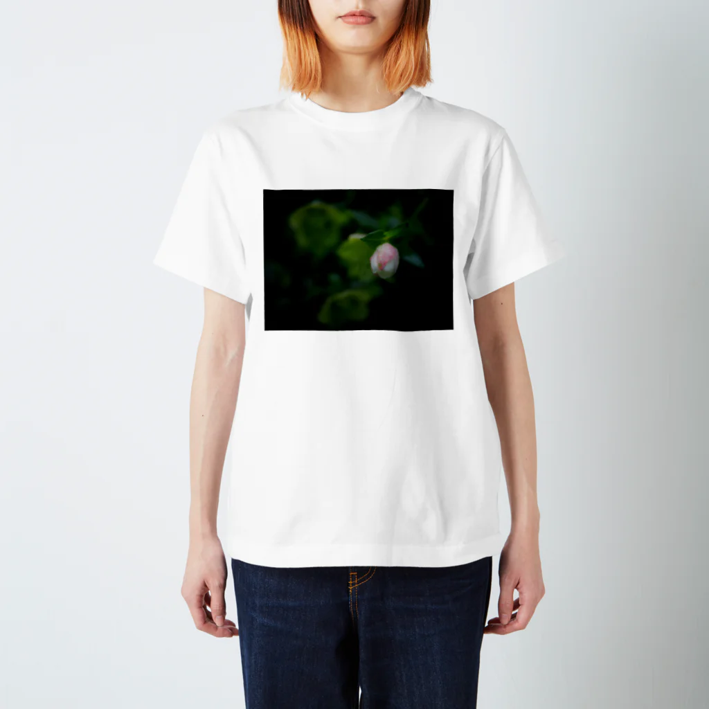 loveyourviewの雨ふる森の中で見つけた光景 スタンダードTシャツ