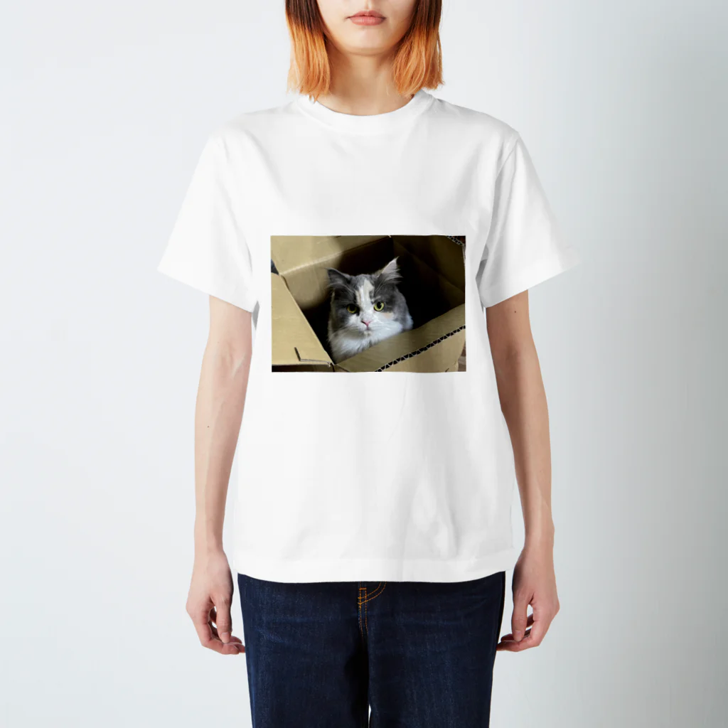 猫のお姫様のダンボール姫 Regular Fit T-Shirt