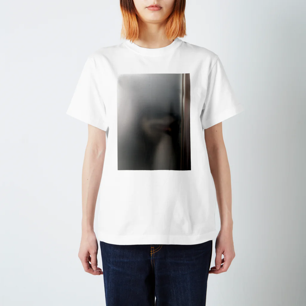 ぽ😃の磨りガラスからの視線 Regular Fit T-Shirt