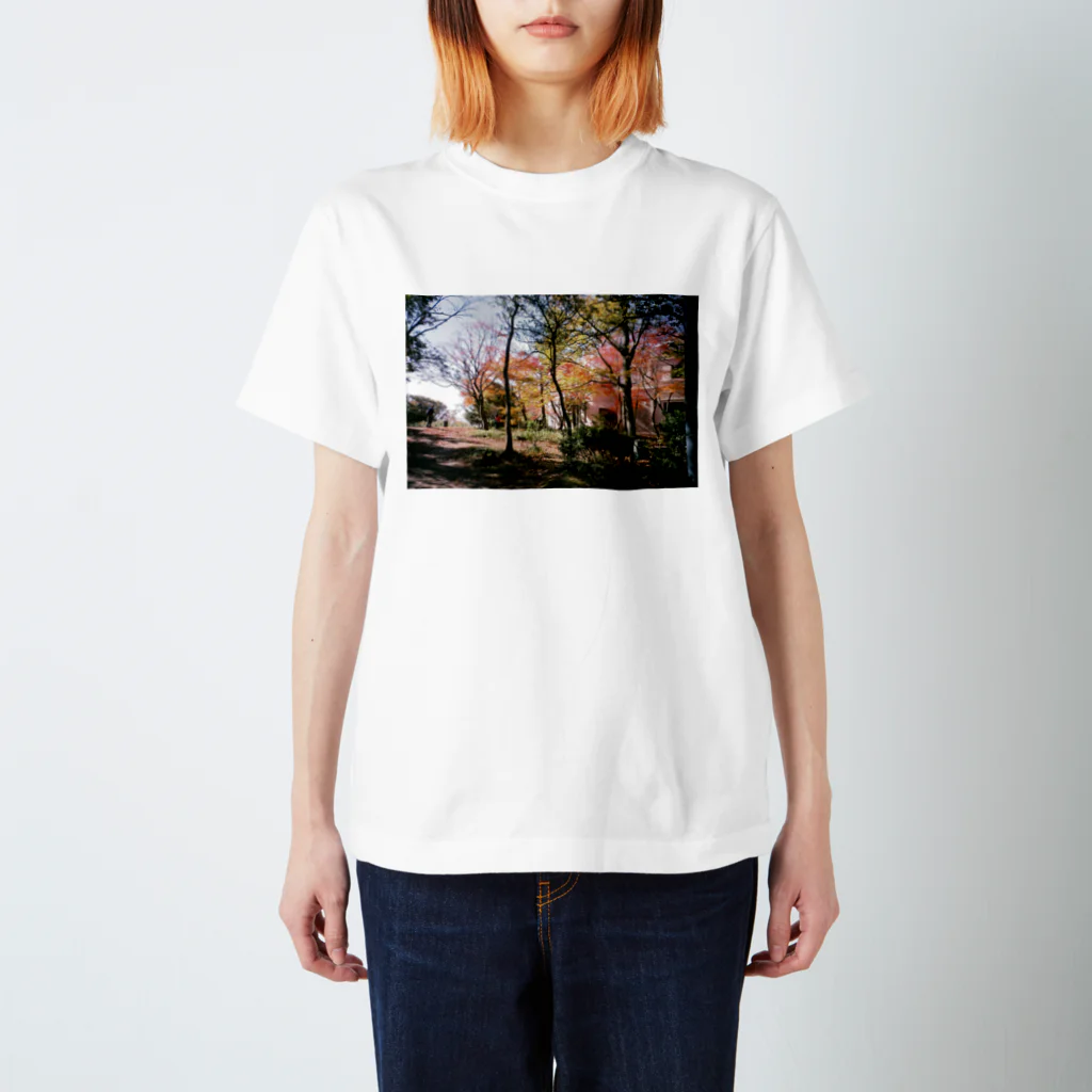 おゆの屋島の紅葉 Regular Fit T-Shirt