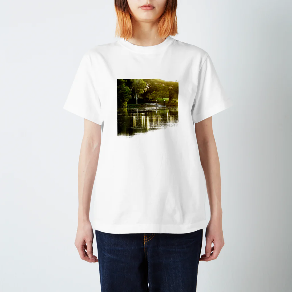 C_G_Yungの水辺の光景 スタンダードTシャツ