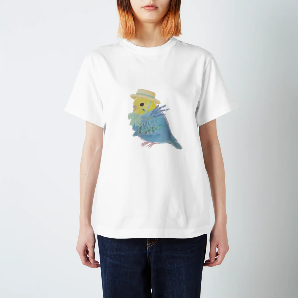 Colicoのセキセイインコレインボー スタンダードTシャツ