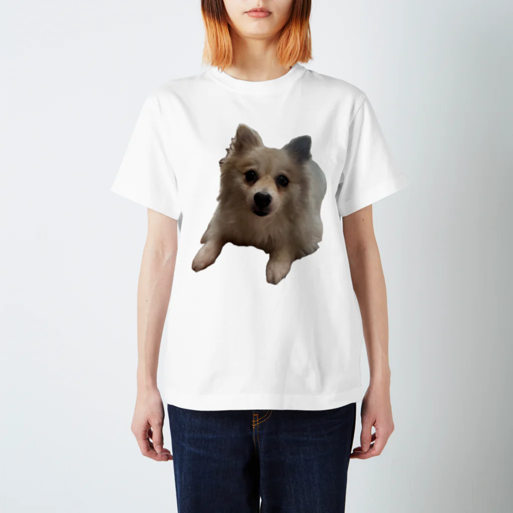 DACHSHUNDenpのツムツムT2 スタンダードTシャツ