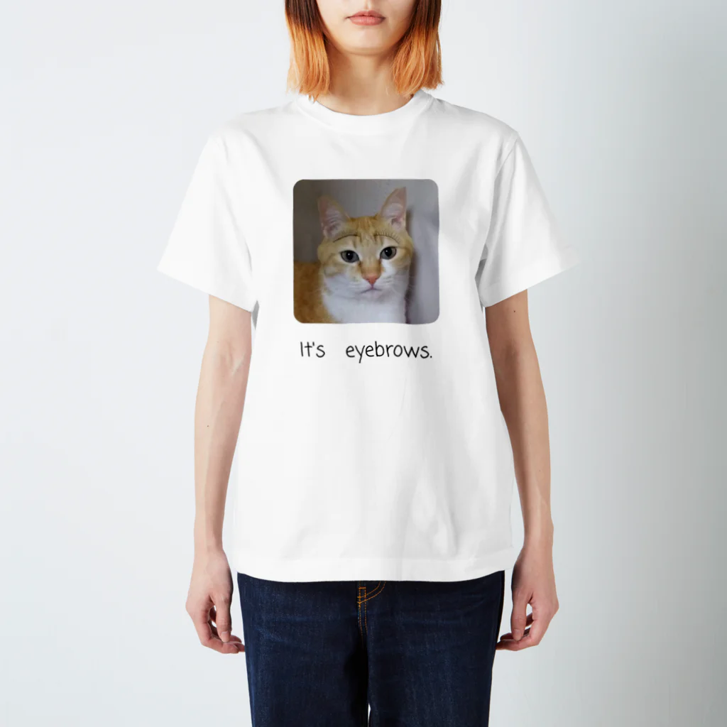 3dogs_1catの眉毛猫 Regular Fit T-Shirt