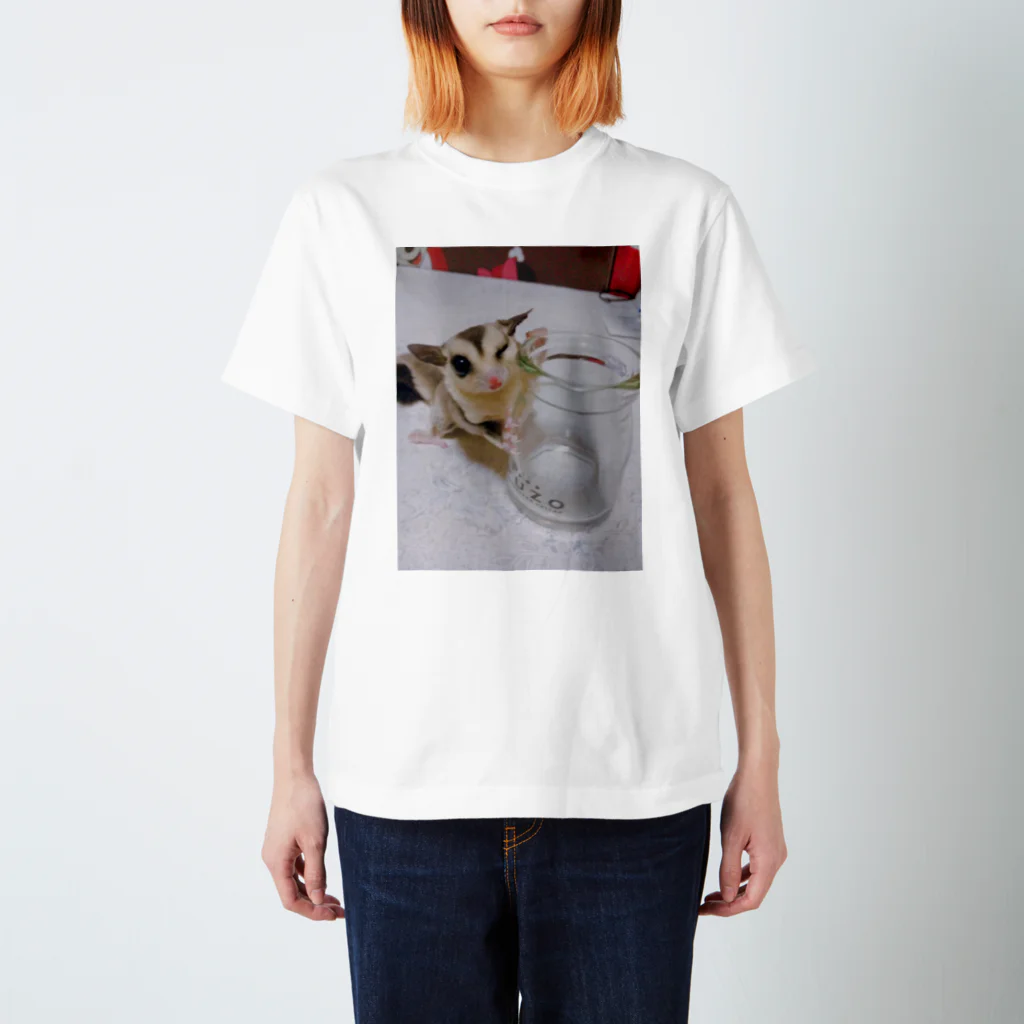 aoichi  for xxのろろろ2 スタンダードTシャツ