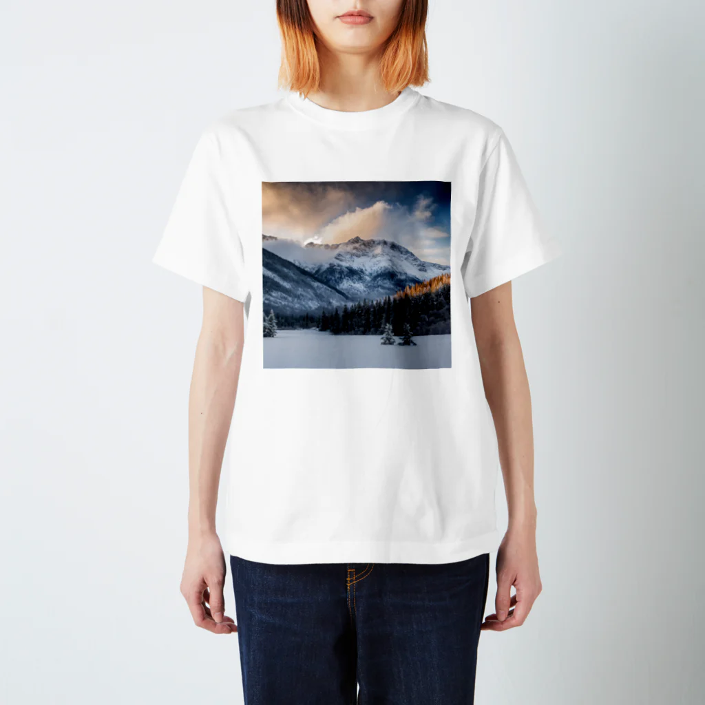 ssaiy10の美しい冬 Regular Fit T-Shirt